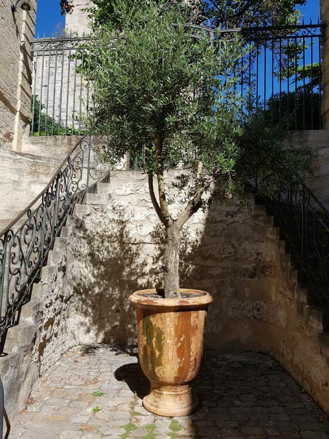 Appartement Dans Hotel De Flaux ユゼ エクステリア 写真